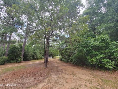 99 Diamond Radar, Perkinston, MS 39573 photo 12