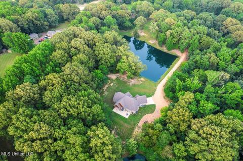 1569 Horn Lake Rd, Nesbit, MS 38651 photo 7