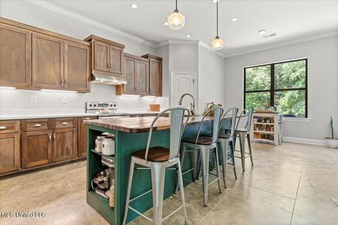1569 Horn Lake Rd, Nesbit, MS 38651 photo 11