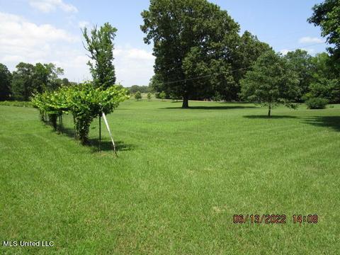 81 Cr 515, Como, MS 38619 photo 44