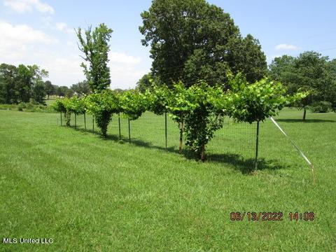 81 Cr 515, Como, MS 38619 photo 43