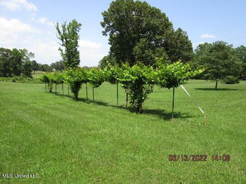 81 Cr 515, Como, MS 38619 photo 42