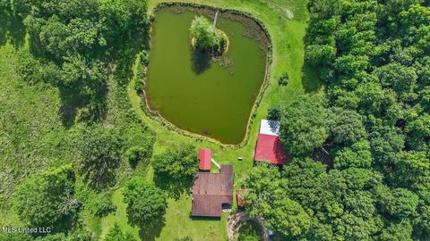 171 Henry Rd, Braxton, MS 39044 photo 32