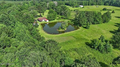 171 Henry Rd, Braxton, MS 39044 photo 46