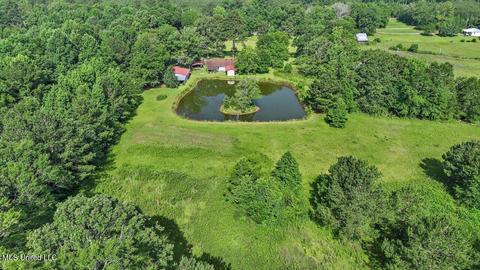171 Henry Rd, Braxton, MS 39044 photo 47