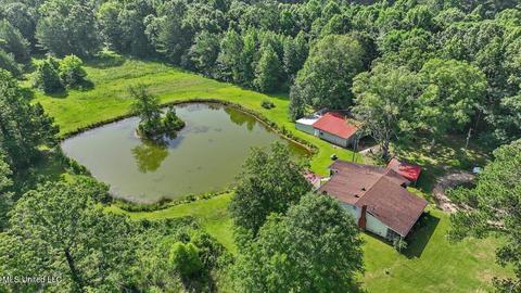 171 Henry Rd, Braxton, MS 39044 photo 50