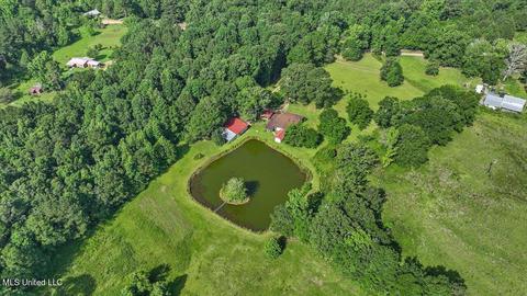 171 Henry Rd, Braxton, MS 39044 photo 38