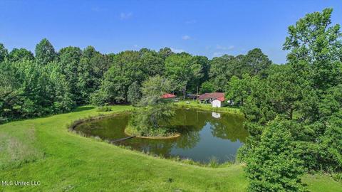 171 Henry Rd, Braxton, MS 39044 photo 52