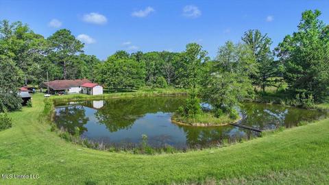 171 Henry Rd, Braxton, MS 39044 photo 51