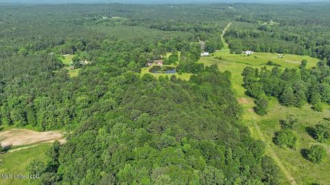 171 Henry Rd, Braxton, MS 39044 photo 44