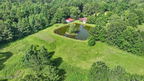 171 Henry Rd, Braxton, MS 39044 photo 48