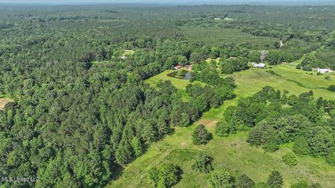 171 Henry Rd, Braxton, MS 39044 photo 43