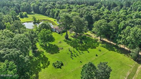 171 Henry Rd, Braxton, MS 39044 photo 49