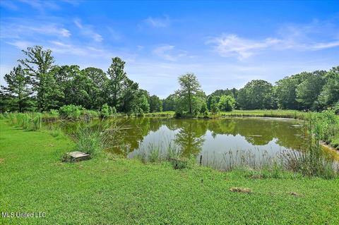 171 Henry Rd, Braxton, MS 39044 photo 26
