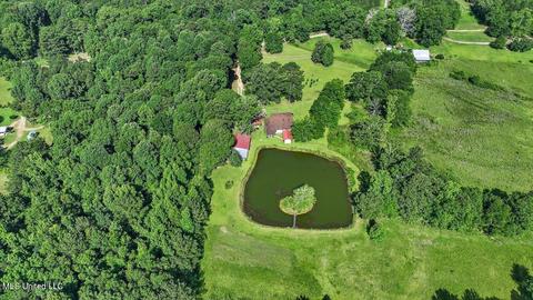 171 Henry Rd, Braxton, MS 39044 photo 39