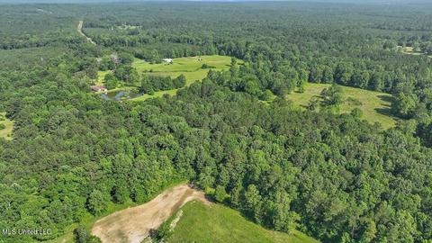 171 Henry Rd, Braxton, MS 39044 photo 45