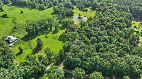 171 Henry Rd, Braxton, MS 39044 photo 34