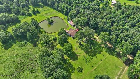 171 Henry Rd, Braxton, MS 39044 photo 36