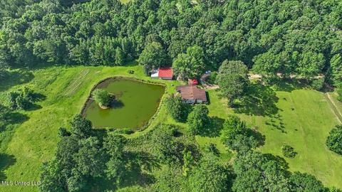171 Henry Rd, Braxton, MS 39044 photo 37