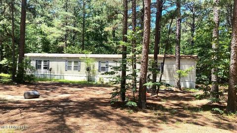 3021 NE Paradise Ln, Wesson, MS 39191 photo 1