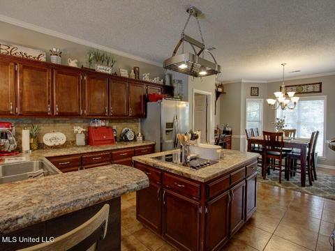 515 Tchulahoma Rd, Hernando, MS 38632 photo 15