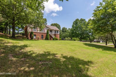 4370 Bienville Rd, Nesbit, MS 38651 photo 4