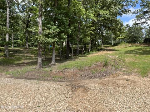 559 Walker Ln, Raymond, MS 39154 photo 6