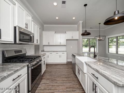 2968 Layton Dr, Nesbit, MS 38651 photo 2