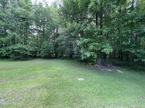 444 Doc Henry Cv, Terry, MS 39170 photo 37
