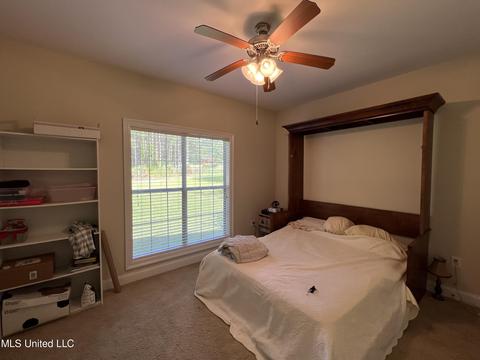 444 Doc Henry Cv, Terry, MS 39170 photo 29