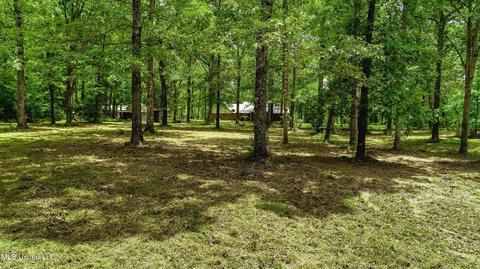 1124 Haley Rd, Terry, MS 39170 photo 24