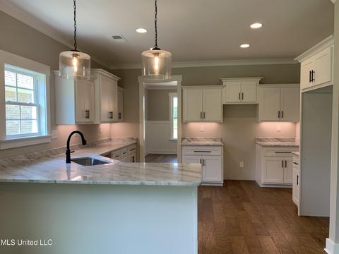 3451 Hatton Dr, Nesbit, MS 38651 photo 6