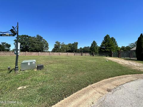 6042 E Fleur De Lis Dr, Olive Branch, MS 38654 photo 1