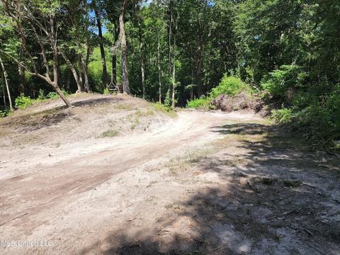 251 Park Dr, Lucedale, MS 39452 photo 38