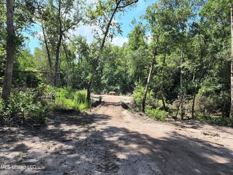251 Park Dr, Lucedale, MS 39452 photo 37