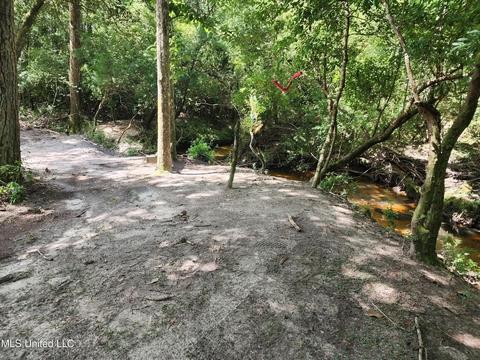 251 Park Dr, Lucedale, MS 39452 photo 39