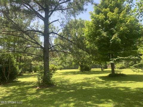 2465 Scr 503, Magee, MS 39111 photo 12