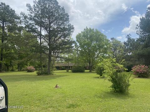 2465 Scr 503, Magee, MS 39111 photo 43