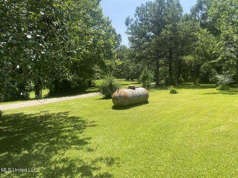 2465 Scr 503, Magee, MS 39111 photo 10