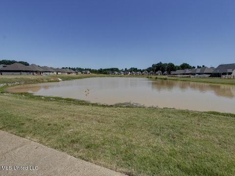 5208 Watson Place Ln, Nesbit, MS 38651 photo 26
