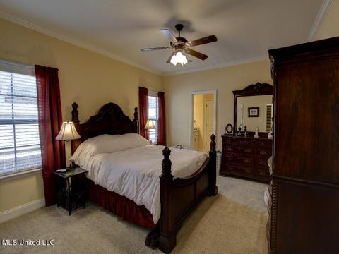 5208 Watson Place Ln, Nesbit, MS 38651 photo 12