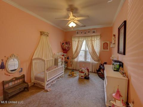 5208 Watson Place Ln, Nesbit, MS 38651 photo 18