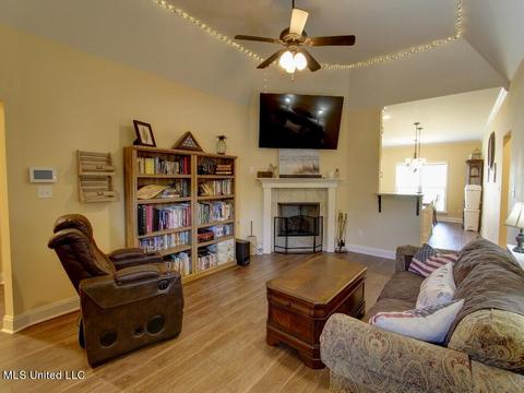 5208 Watson Place Ln, Nesbit, MS 38651 photo 3