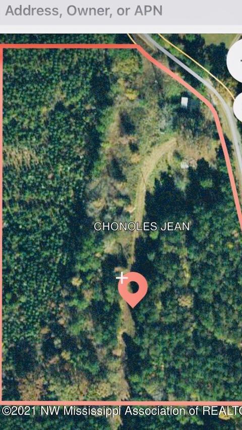 1201 Co Rd 10, Hickory Flat, MS 38633 photo 1
