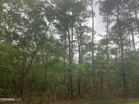 0 Kiln Waveland Cutoff Rd, Bay Saint Louis, MS 39520