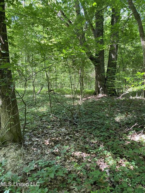 0 Franks Rd, Coldwater, MS 38618 photo 11
