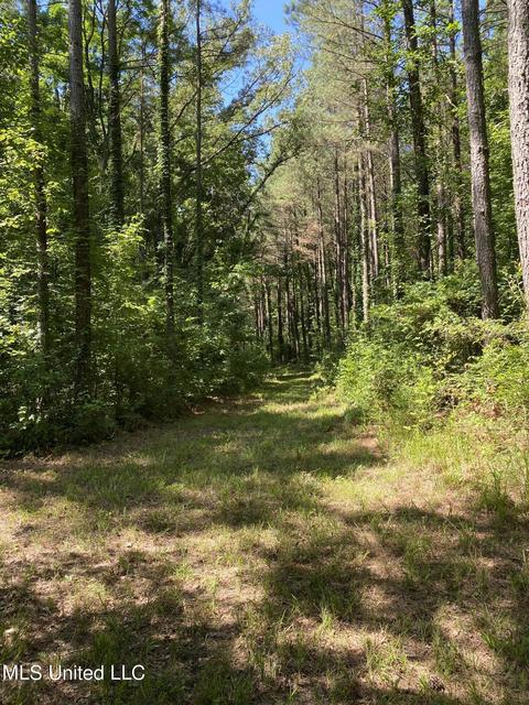 0 Franks Rd, Coldwater, MS 38618 photo 9