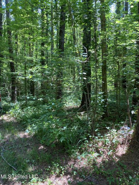 0 Franks Rd, Coldwater, MS 38618 photo 10