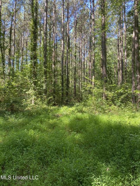 0 Franks Rd, Coldwater, MS 38618
