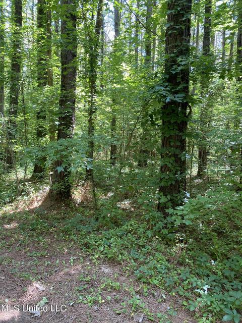 0 Franks Rd, Coldwater, MS 38618 photo 7